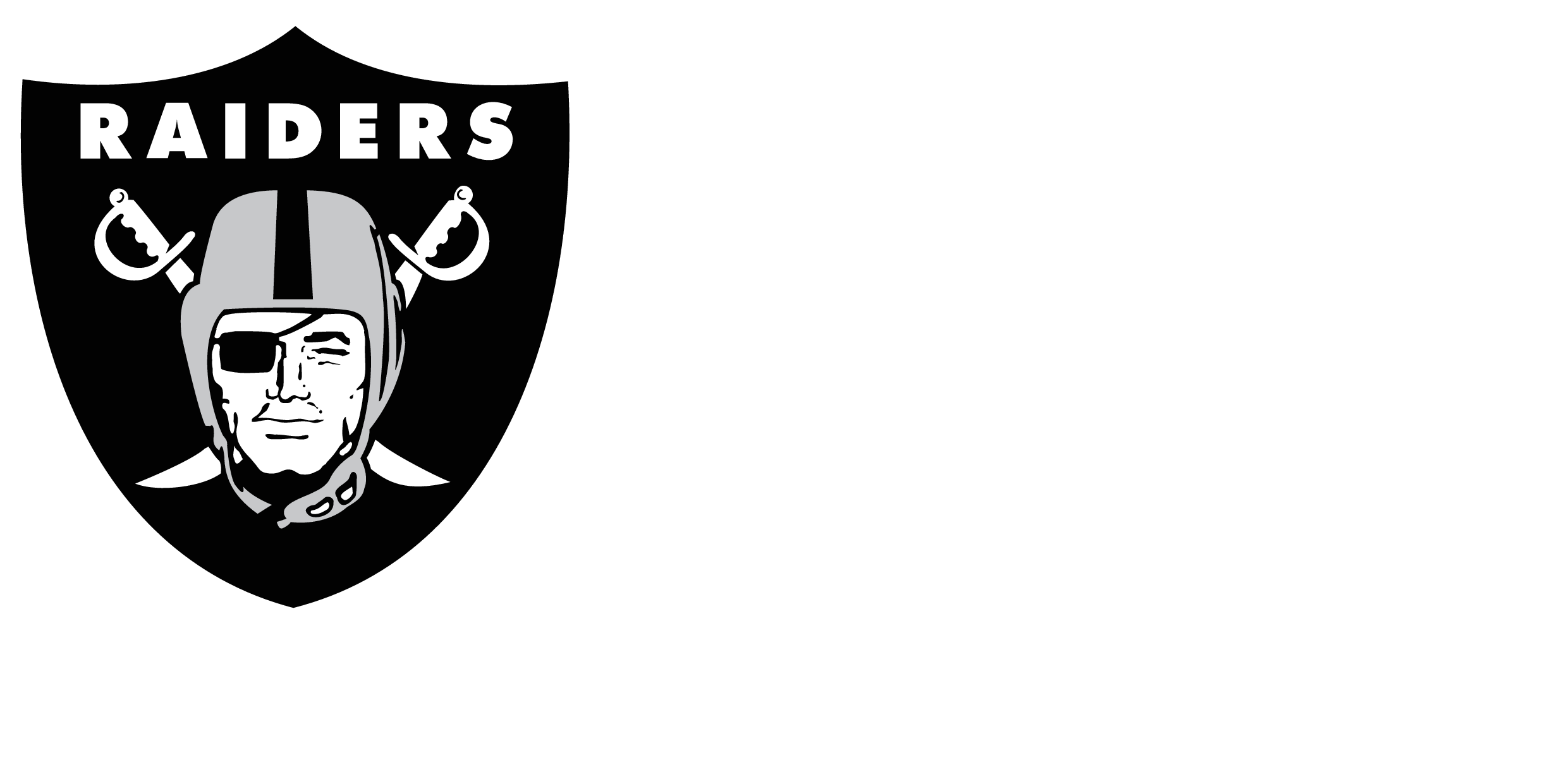 RAIDER IMAGE